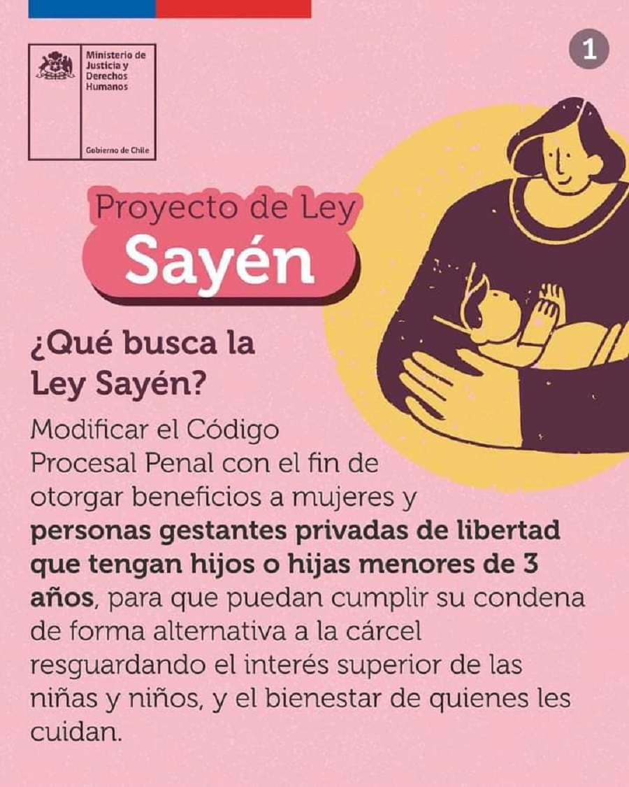 Seremi De Justicia Y DDHH Valora Alcances Del Proyecto De Ley Sayén